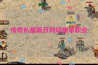 传奇私服新开网站服单职业