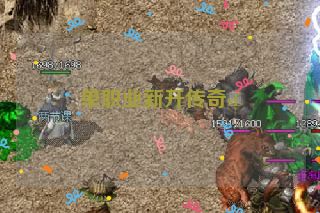 单职业新开传奇sf