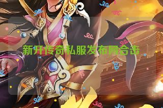 新开传奇私服发布网合击