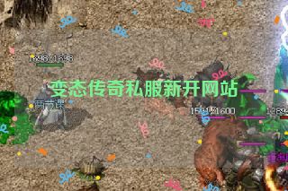 变态传奇私服新开网站