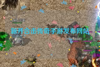 新开合击传奇手游发布网站