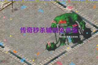 传奇秒杀辅助免费版