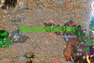 精品传奇网站新开网