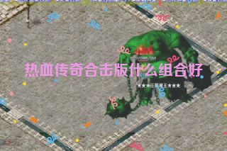 热血传奇合击版什么组合好