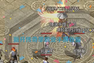 
新开传奇单职业手游新服