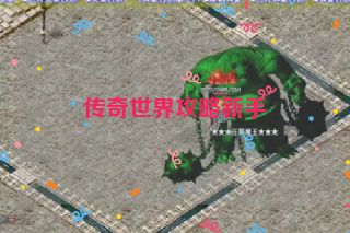 传奇世界攻略新手