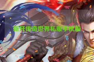 新开传奇世界私服手机版