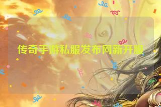 传奇手游私服发布网新开服