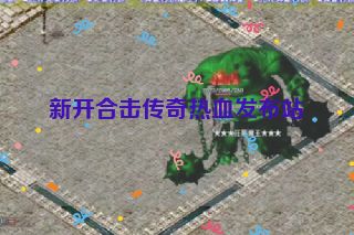 新开合击传奇热血发布站
