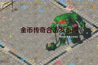 金币传奇合击发布网