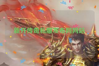 新开传奇私服发布网网站