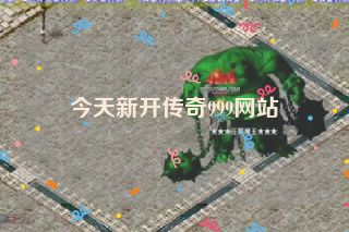 今天新开传奇999网站