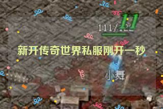 新开传奇世界私服刚开一秒
