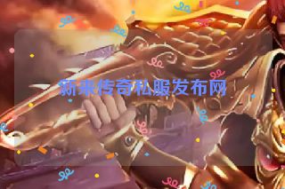 新来传奇私服发布网