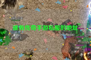 谁有传奇手游私服的地址