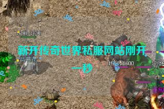 新开传奇世界私服网站刚开一秒