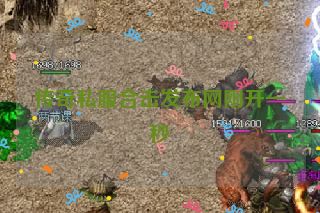 传奇私服合击发布网刚开一秒