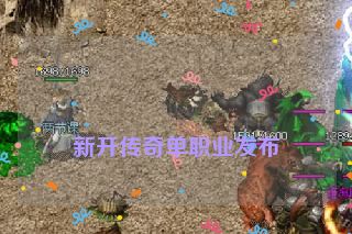 
新开传奇单职业发布