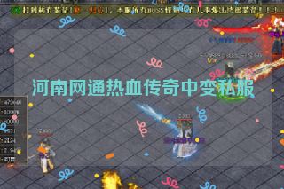 河南网通热血传奇中变私服