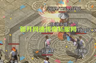 新开网通传奇私服网