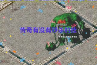 传奇有没有秒杀的挂