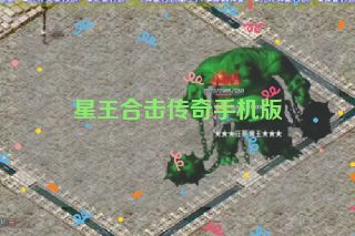 星王合击传奇手机版