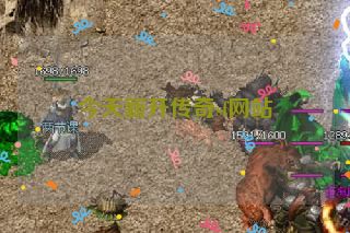 今天新开传奇sf网站