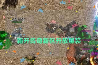 
新开传奇新区开放爆装