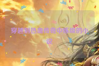 穿越到热血传奇中练级的小说