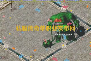 私服传奇单职业发布网