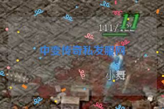 中变传奇私发服网