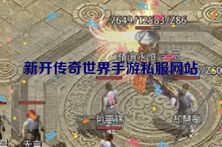 新开传奇世界手游私服网站