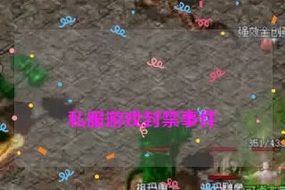 
私服游戏封禁事件