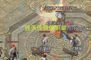 迷失传奇单职业