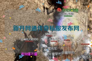 新开网通传奇私服发布网