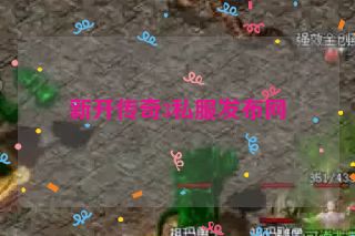 新开传奇3私服发布网