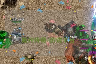 
新开传奇sf游戏平台