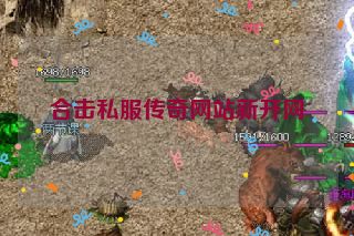 合击私服传奇网站新开网