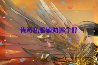 传奇私服辅助哪个好